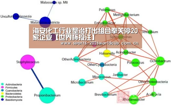 世界杯投注