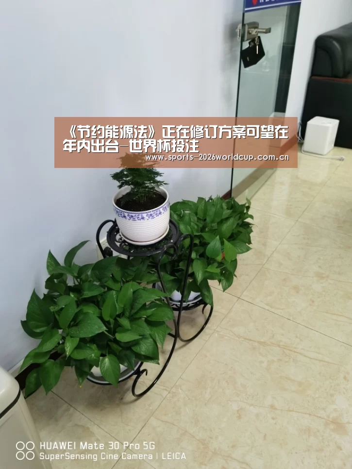 世界杯投注