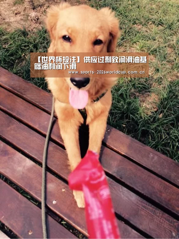 世界杯投注