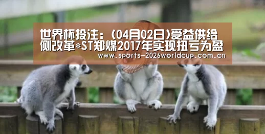 世界杯投注