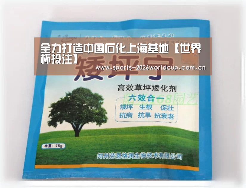 世界杯投注